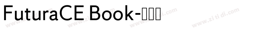 FuturaCE Book字体转换